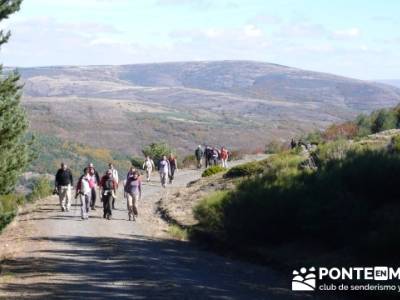 Senda de carretas, Parque Natural del Hayedo de Tejera Negra; marcha en madrid